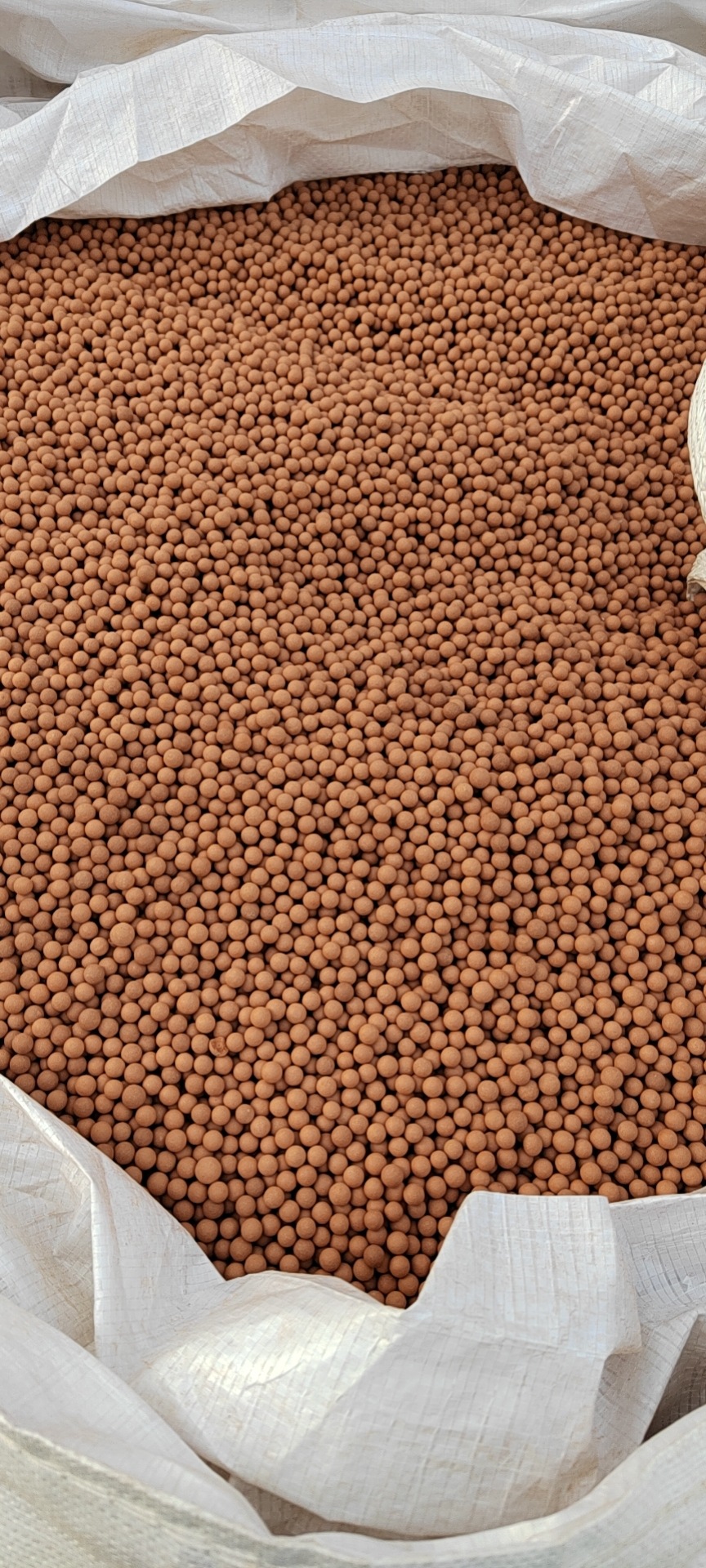 wx_camera_1650495534347(1)