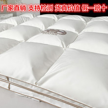新款羽绒被95白鹅绒鹅绒被100鹅绒98吊吊绒5A级匈牙利大朵绒正品
