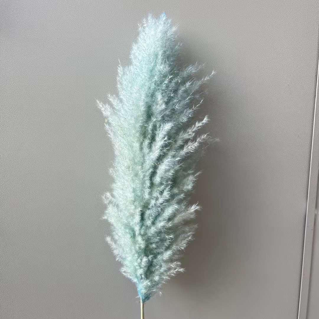 블루(꽃 스파이크 50+)