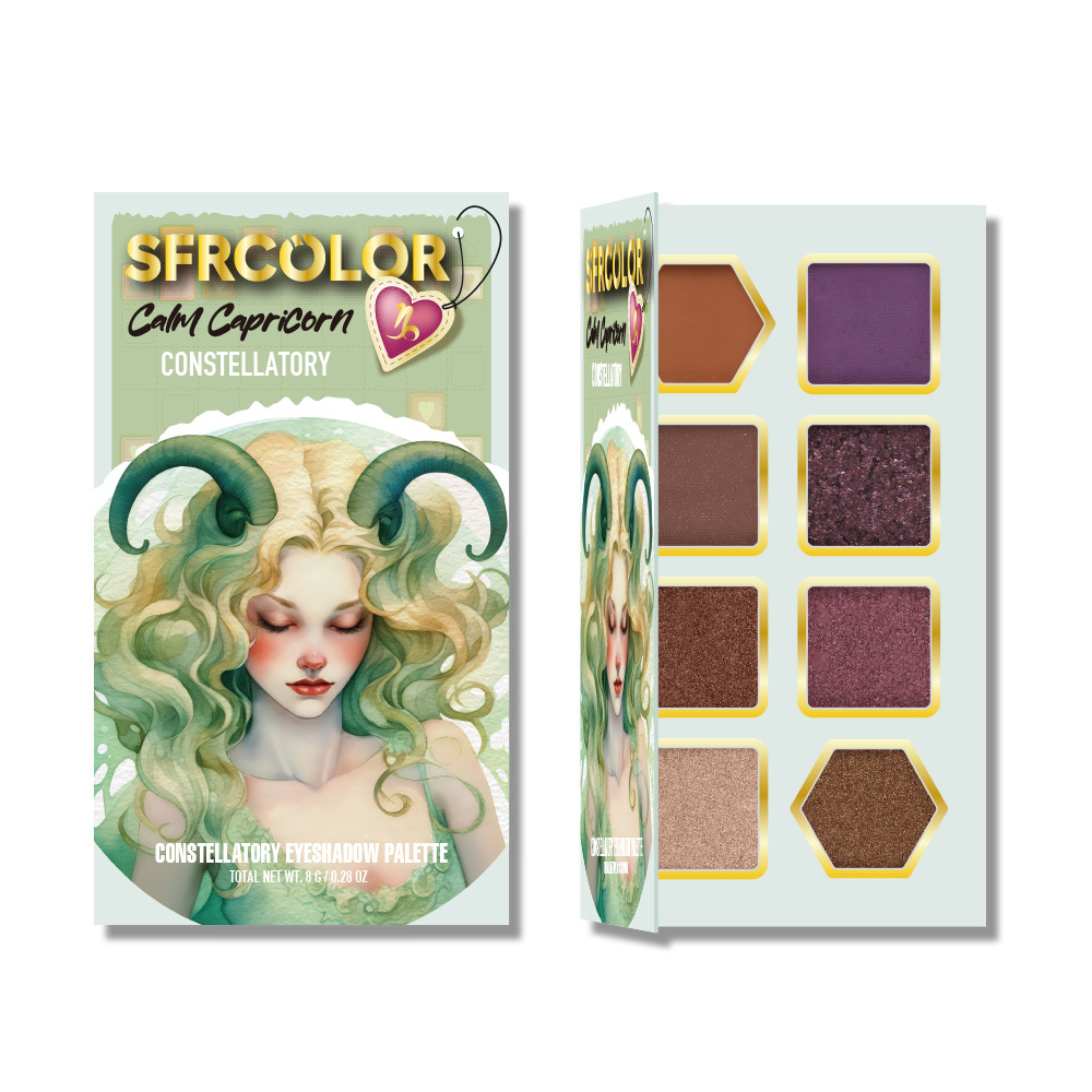 s.f.r color transfronterizo exclusivo para nuevos productos mate perla doce constelación de sombra de ojos set maquillaje al por mayor