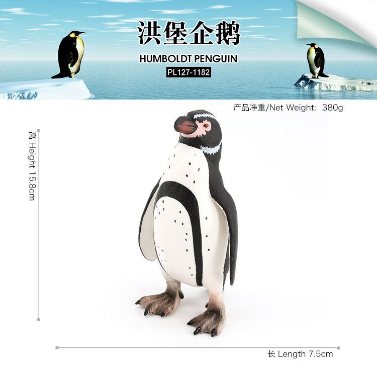 PL127-1182非洲企鹅