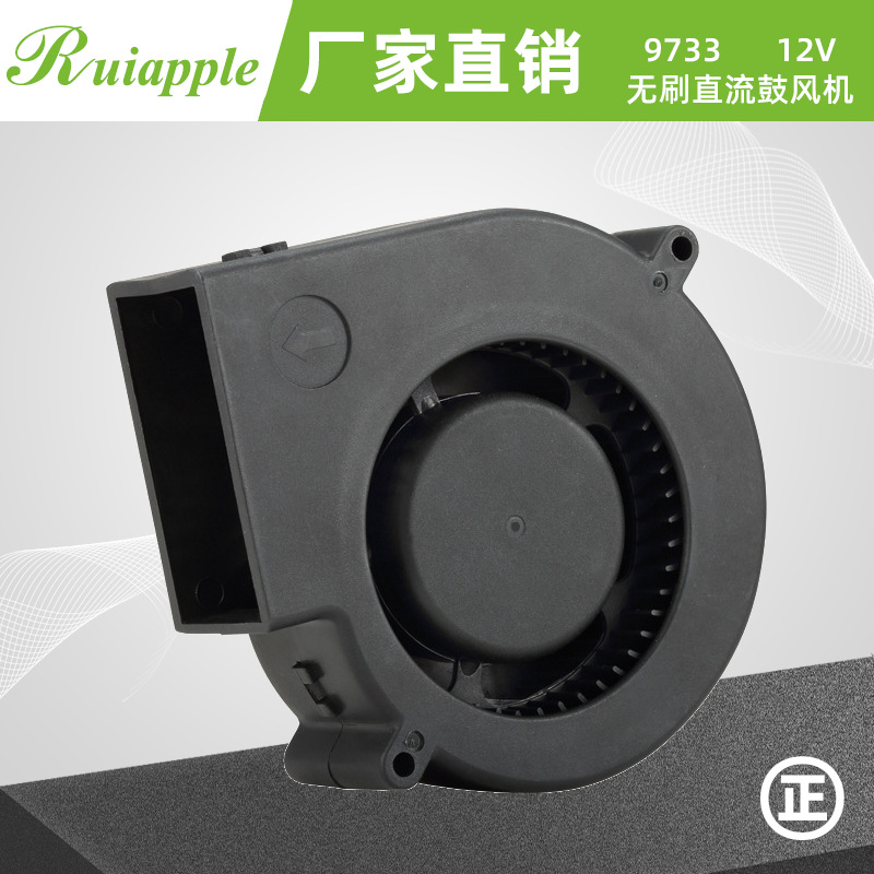 深圳瑞安普厂家直销12V 9733鼓风机 12V鼓风机  滚轴鼓风机