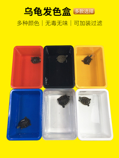 Turtle hair color box red yellow blue black and white transparent turtle tank turnover box ornamental turtle seedling feeding storage box multi-color optional