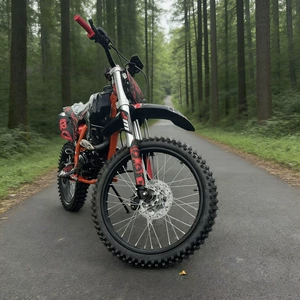 Böyük 250CC İki Təkərli Off-Road Motosiklet, Yüksək Performanslı Hava Soyutmalı Mühərrikli