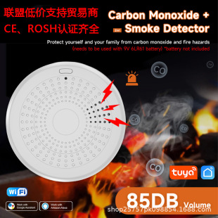 Graffiti Wifi Smoke Alarm Detector Smoke Sensor Mobile Phone Remote Monitoring Fire Home Smoke Detector