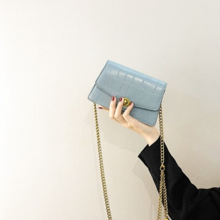This Year's Popular Bags 2021 New Trendy High-End Niche Accessible Luxury Texture Foreign Style Chain Crossbody Women's Bag