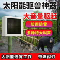 野獣を追い払って豚の神器をびっくりさせます。