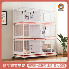 С���ӻ\��؈�\����؈�\����؈�e������؈��\��