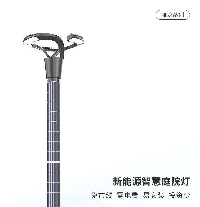 骧龙系列-新能源智慧庭院灯_01.jpg