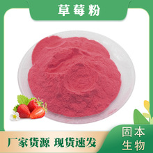 草莓果粉 水溶草莓喷雾粉 草莓果汁粉 固体饮料 厂家现货1KG包邮