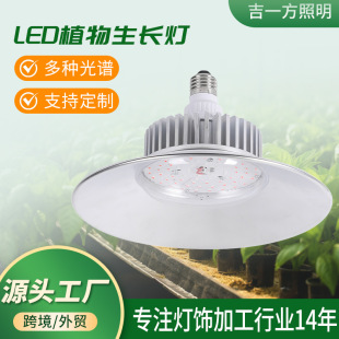 Full-Spectrum Plant Fill Light Greenhouse Vegetable Succulent Anti-Stunting Color Greenhouse Flower Sunlight Plant Growth Light