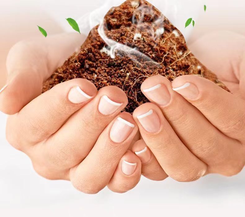 7ba6dae3-e002-4892-a3d6-17c9b7269160.jpe