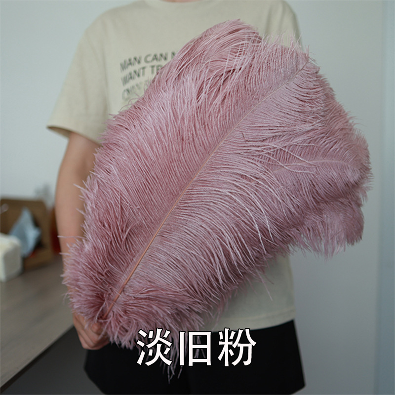55 - 60cm plumas de avestruz de Sudáfrica al por mayor accesorios de ropa DIY accesorios materiales accesorios de diseño de boda lana de avestruz