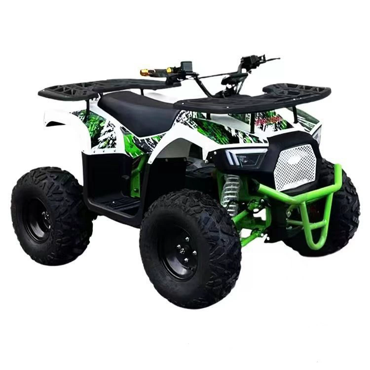 60V1000W Электрические пляжные автомобили внедорожный ATV снегоход мотоцикл