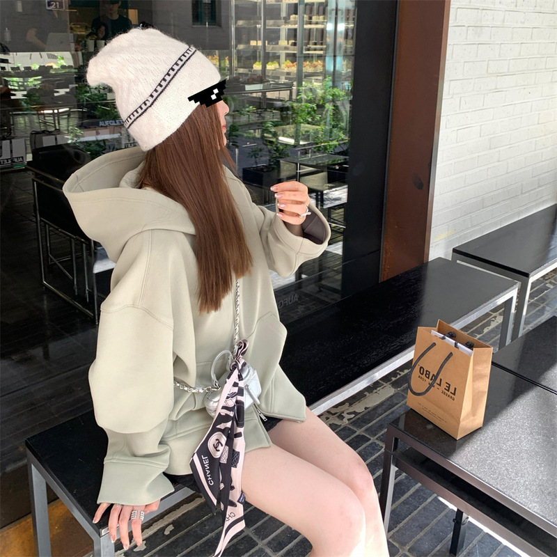 aaaaxbbb 沙丘香草 三色连帽卫衣外套慵懒风拉链宽松显瘦长袖上衣|undefined