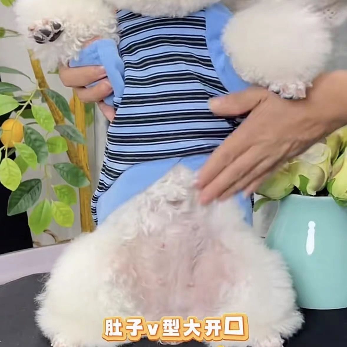 Gatos otoño invierno ropa accesorios rayas mascotas perros pequeños peleas de peluche que osos suministros de camiseta de base universal transfronterizos