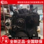 东风康明斯全新马力发动机