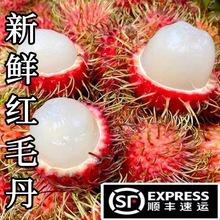 ����S��朡����ϼtë��ë��֦�Fժ�������r�ЋDˮ������]���r