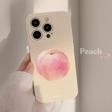 �����¡�ˮ�����m��17pro max�֙C���O��16proˮ��15����12ȫ��11