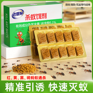 New Product Laoguanjia Ant Bait to Kill Ants, Household Kitchen Disinfection and Removal of Red, Yellow and Black Ants Ant Bait