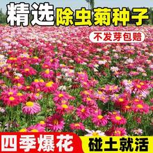 xշNòݾջNļNֲɫ҃ͥԺ