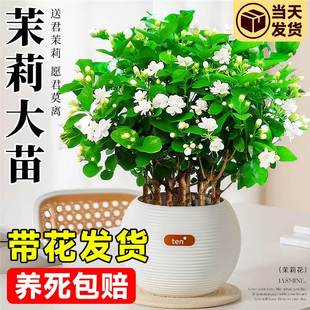 �������Ԏ������d�ӻ�����������Ϙ����ܾGֲ���̨�҃Ⱥ��B��