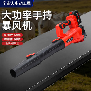 �늴��L�C���ʹ��I���L�C������ѩ���҉m���~���m���o�����L��