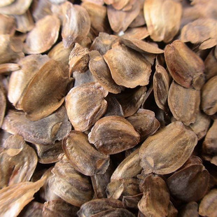 ɼľ�Nɳ��Nɼ����ɼ����ɼ����ɼ��ɼ��ɼ��ɼ�ɼ�G����ľ�N��