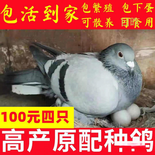 ���ӻ�һ�������N��С�����������߻������������µ�