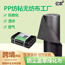 �羳�����r�I�r��PP�۱�ϩ��ճ�o����͸ˮ͸�⪚�����b�S��ֱ��