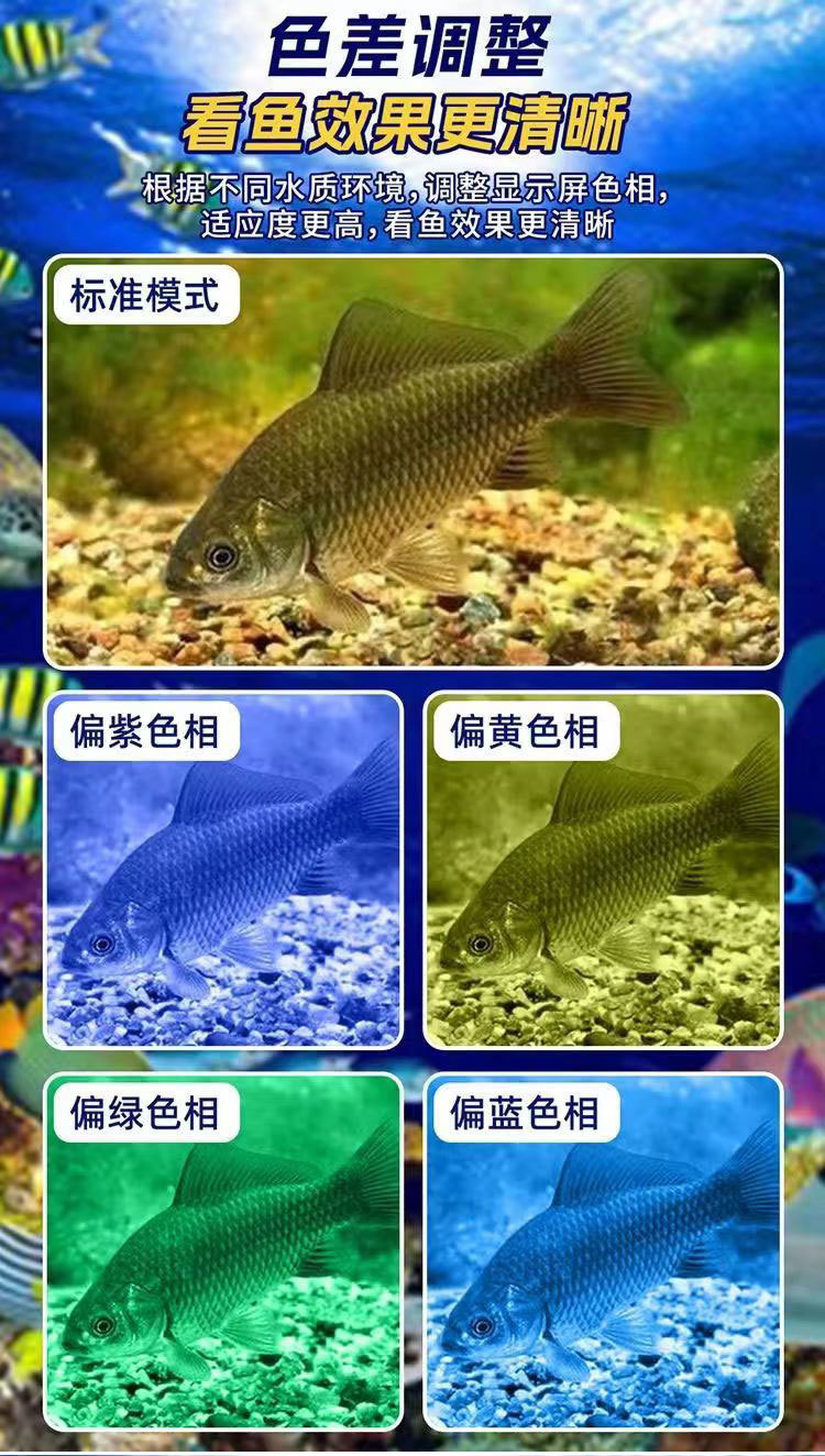 03b9f989-819d-4f20-86aa-a440bea2b241.jpe