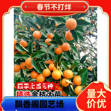 һ�����l��ۘ����V����Ƥ�������ԟo�����ӹ����ļ�����ɰ����