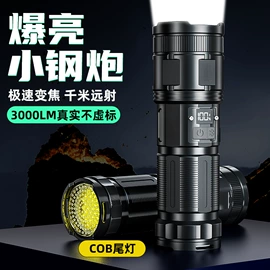 手电筒;头灯头戴电筒;提灯