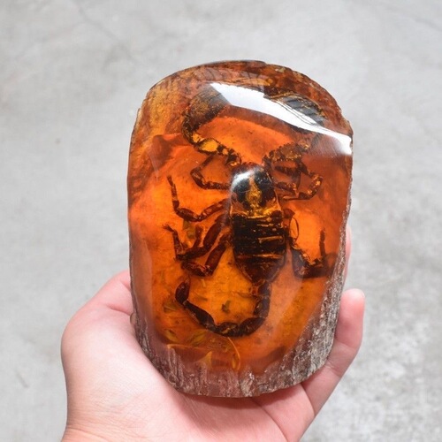 Amber antique craftwork, artificial amber with insects like caterpillars, scorpions, cicadas, crabs, geckos, insect specimens, tree stump decorative piece