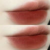 Chestnut lip glaze ~ ins, lip mud, red lip gloss, chestnut, mud, mud, velvet clouds, matte matte, foggy school female female