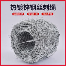 15铁件热销钢丝绳绳带刺30防护网防爬防盗网热镀锌铁丝45刺天