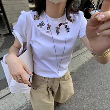 ʮ����R*S�Ҹ�؛��2026���Ŀ��nϵ�͹ſ�ͨ�̽��A�I�@�ݶ����w��