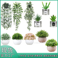 ӆ�ƿ羳�Gֲ�������b �������ֲ���҃ȼٻ��������ԼҾ��b�Ʒ