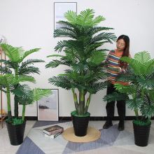 ���l����ɢβ�����Է��滨�͏d�[���٘�Ӽ��b����Ͽ���Gֲ�辰