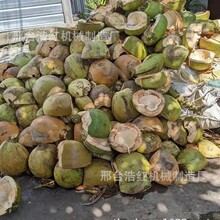 ҬӚЉKCȫԄҬЉKCøҬƤKCSֱu