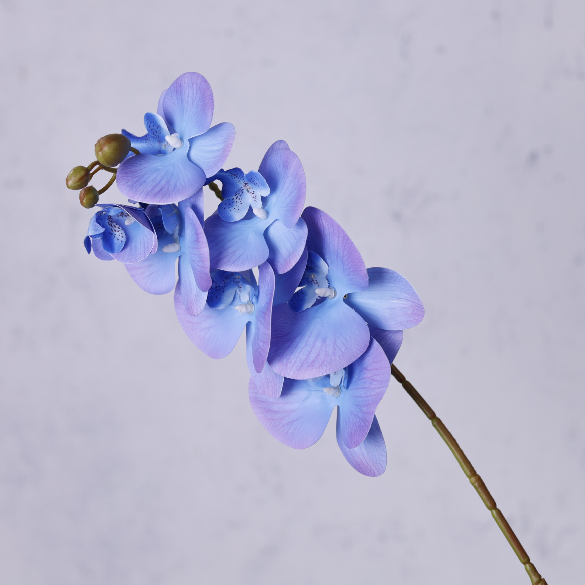 Impresión 3D de 7 cabezas de orquídeas mariposa flor de decoración de flores de alto nivel flor de nicho decoración floral decoración de sala de estar