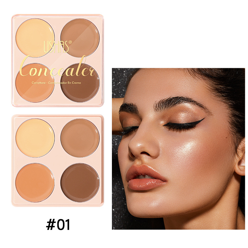 Corrector de venta caliente de punto transfronterizo de USHAS para cubrir las marcas de acné y las ojeras