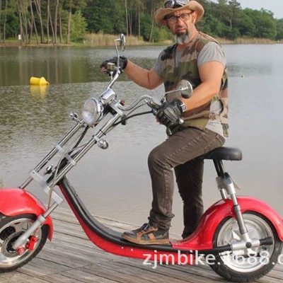 Elektrikli motosikletlər trade export Harley