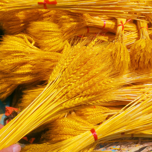 �S������ɻ����������b͏d��ɫС���ͶY�廨ƿ���滨�[���_�I