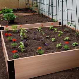 松木花园床木制抬高种植箱单层育苗箱邮购包装