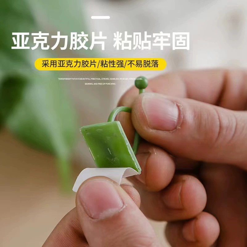 Wall Plant Fixer Green Looplasty — self-adhesive PP vine hooks, small/medium/large