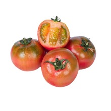 新疆西红柿沙瓤番茄胜普罗旺斯小草莓柿子生吃水果新鲜自然熟顺丰