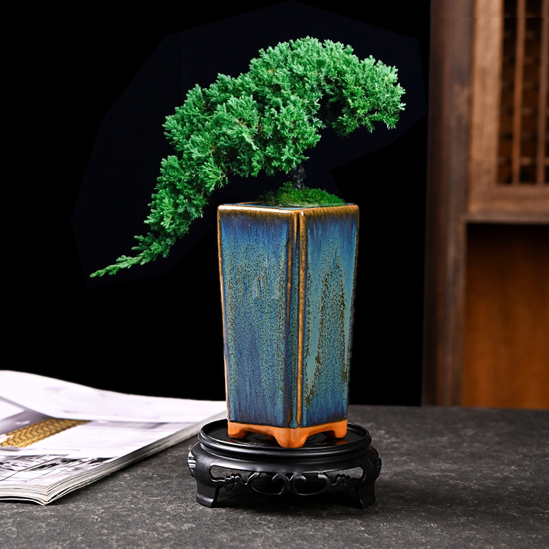 Bandeja de balcón de cerámica de bonsai de plantas verdes de nieve de junio, maceta carnosa de gres doméstico, maceta de cerámica pequeña con control de raíces, liquidación