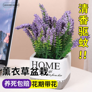 ޹�²����Ի�ֲ��Ҿӿ͏d��ˇ�[���k�����b�����ļ��໨