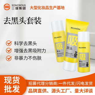 In-Stock Lulanjina Blackhead Removal Set Kit with Exporting Liquid, Peel-Off Nose Mask for Deep Cleansing Pores and Acne Control